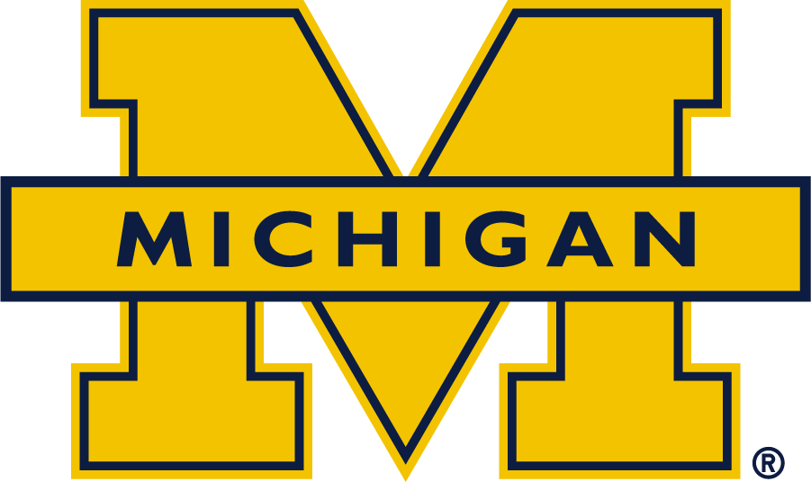 Michigan Wolverines 2016-Pres Secondary Logo DIY iron on transfer (heat transfer)